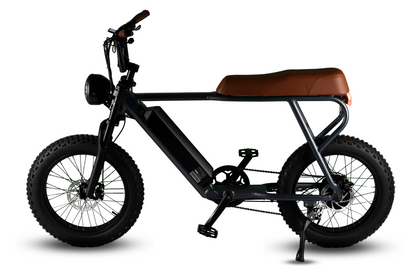 E-Mono TRITON – 48V – 20″ Electric Cruiser