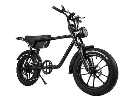 2024 NEW MAMBA SAHARA FAT TYRE EBIKE 750W 48V17AH Battery