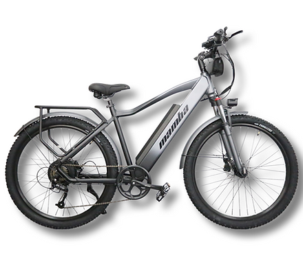 2023 NEW MAMBA Venom EBIKE 48v750W (UPGRADED VERSION OF KRISTALL E5)